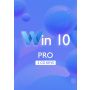 Win 10 Pro CD-KEY (32/64 Bit) (2 keys)