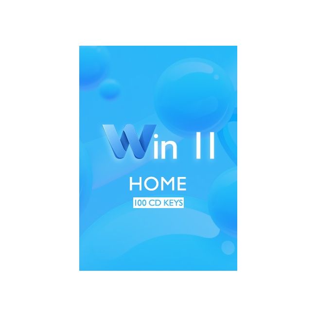 Win 11 Home - 100 Keys