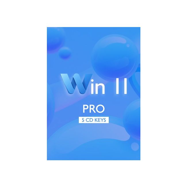 Win 11 Pro (5 Keys)