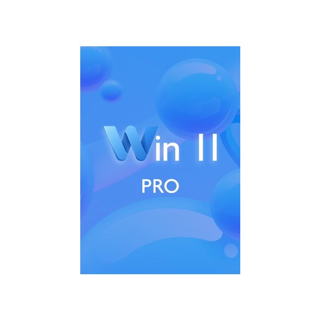 Win 11 Pro CDKEY